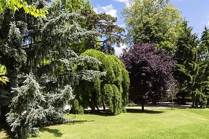 Hotel Domaine De Clairefontaine - Teritoria Chonas-l'Amballan