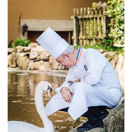 Domaine De Clairefontaine - Teritoria Hotel Chonas-l'Amballan